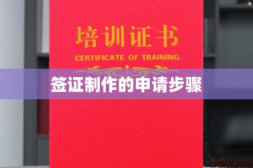 龙安签证制作的申请步骤